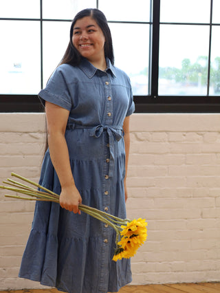 Denim Button Down Picnic Dress