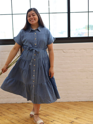 Denim Button Down Picnic Dress