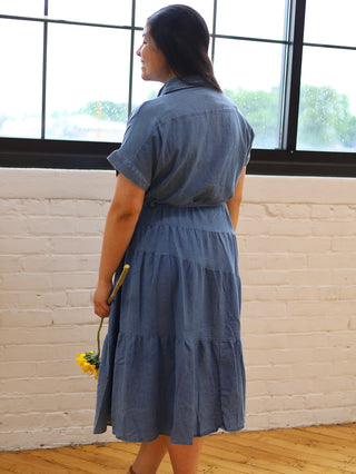 Denim Button Down Picnic Dress