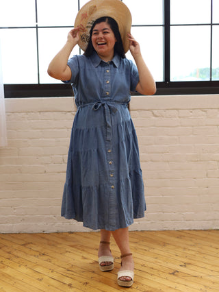 Denim Button Down Picnic Dress